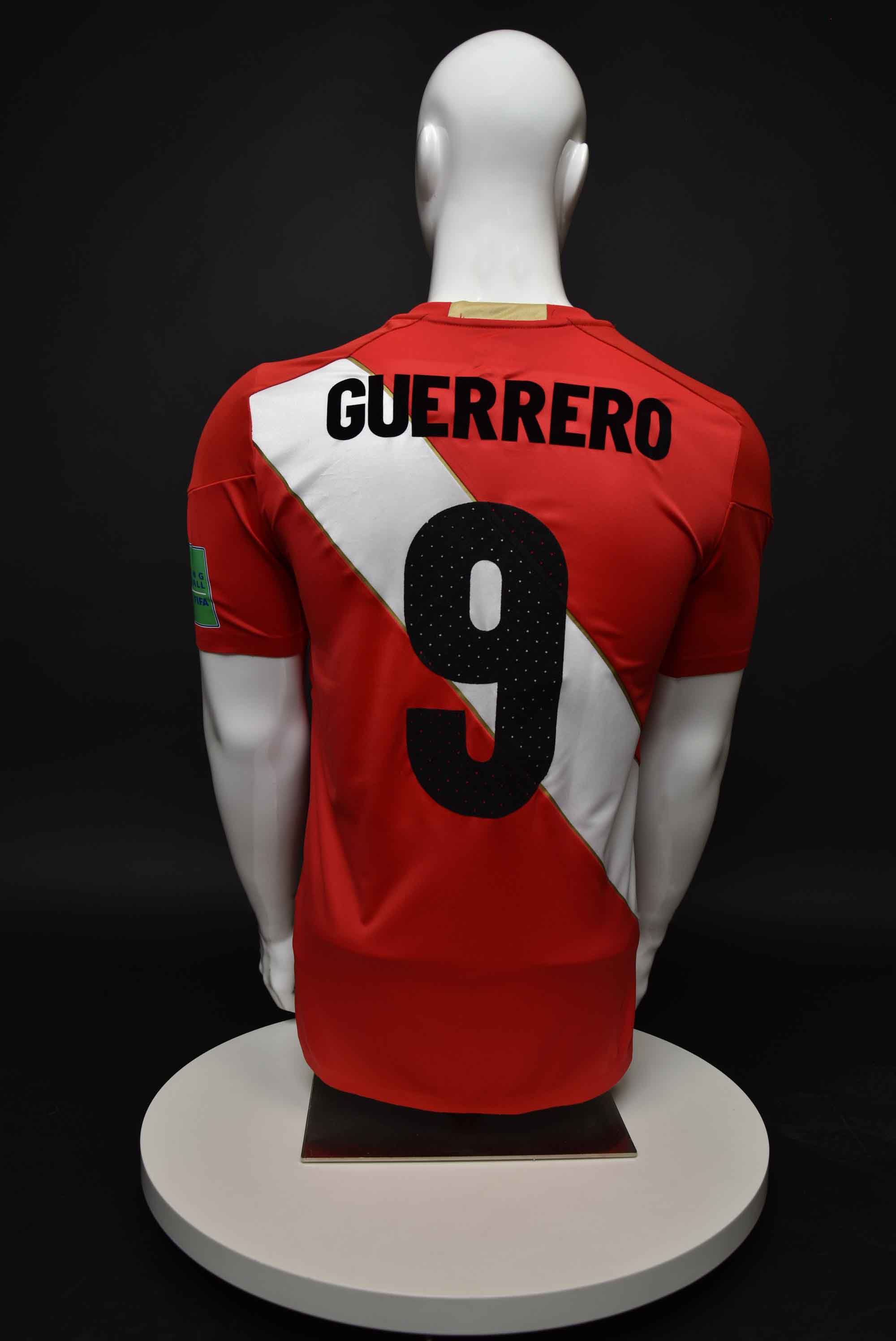 Паоло Гереро back photo