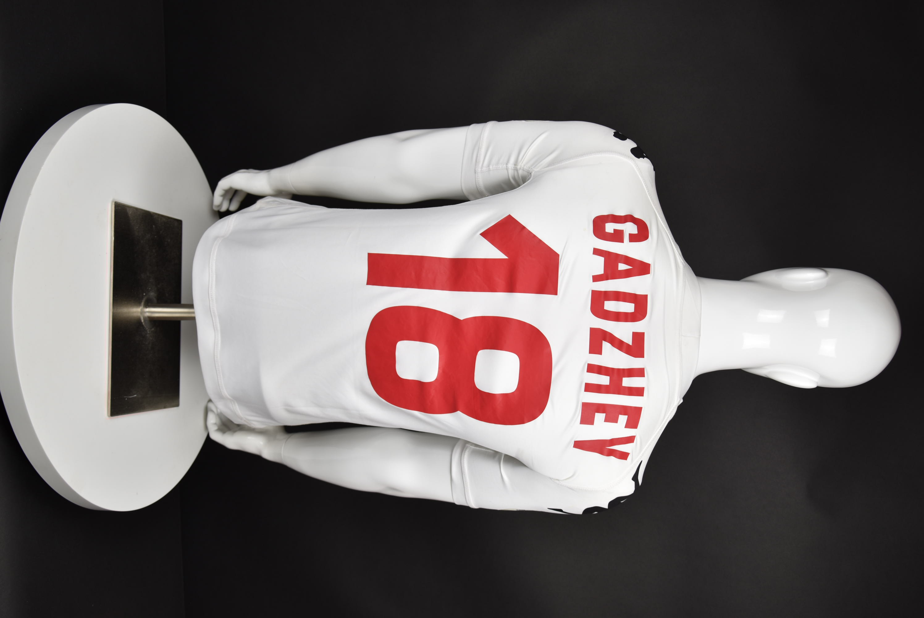 Владимир Гаджев back photo